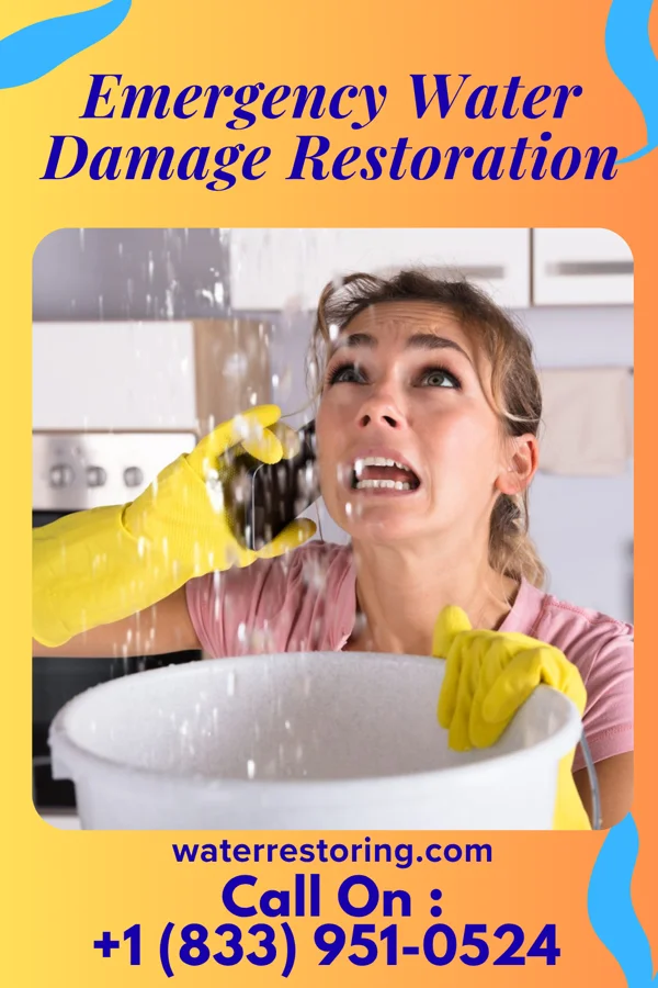 Emergency Water Damage Restoration in Williamsburg, OH