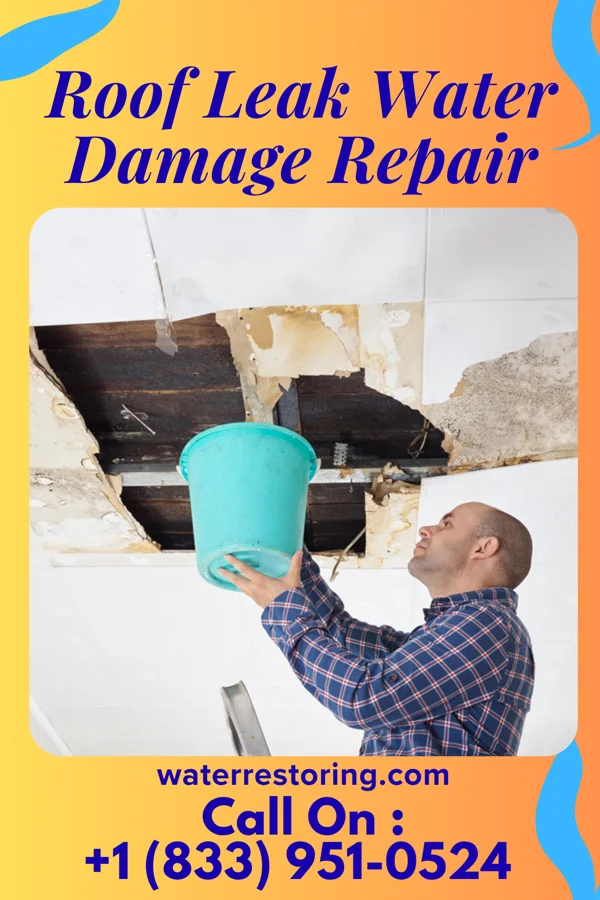 Roof Leak Water Damage Repair in Williamsburg, OH