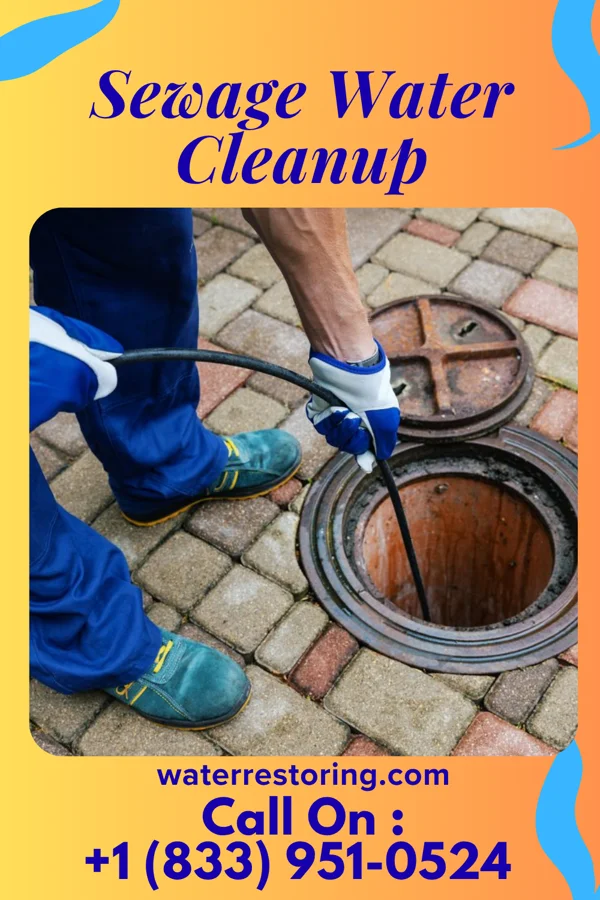 Sewage Water Cleanup in Williamsburg, OH